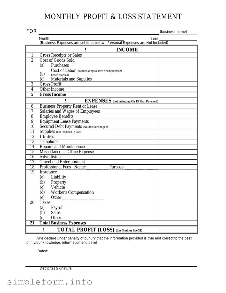 Fill Out a Valid Profit And Loss Form
